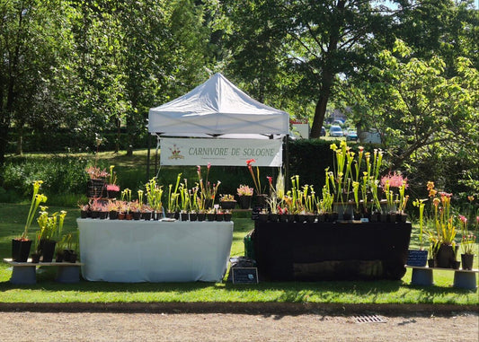 🌿 Fêtes des plantes 2025 : Dates et lieux d’exposition 🌿