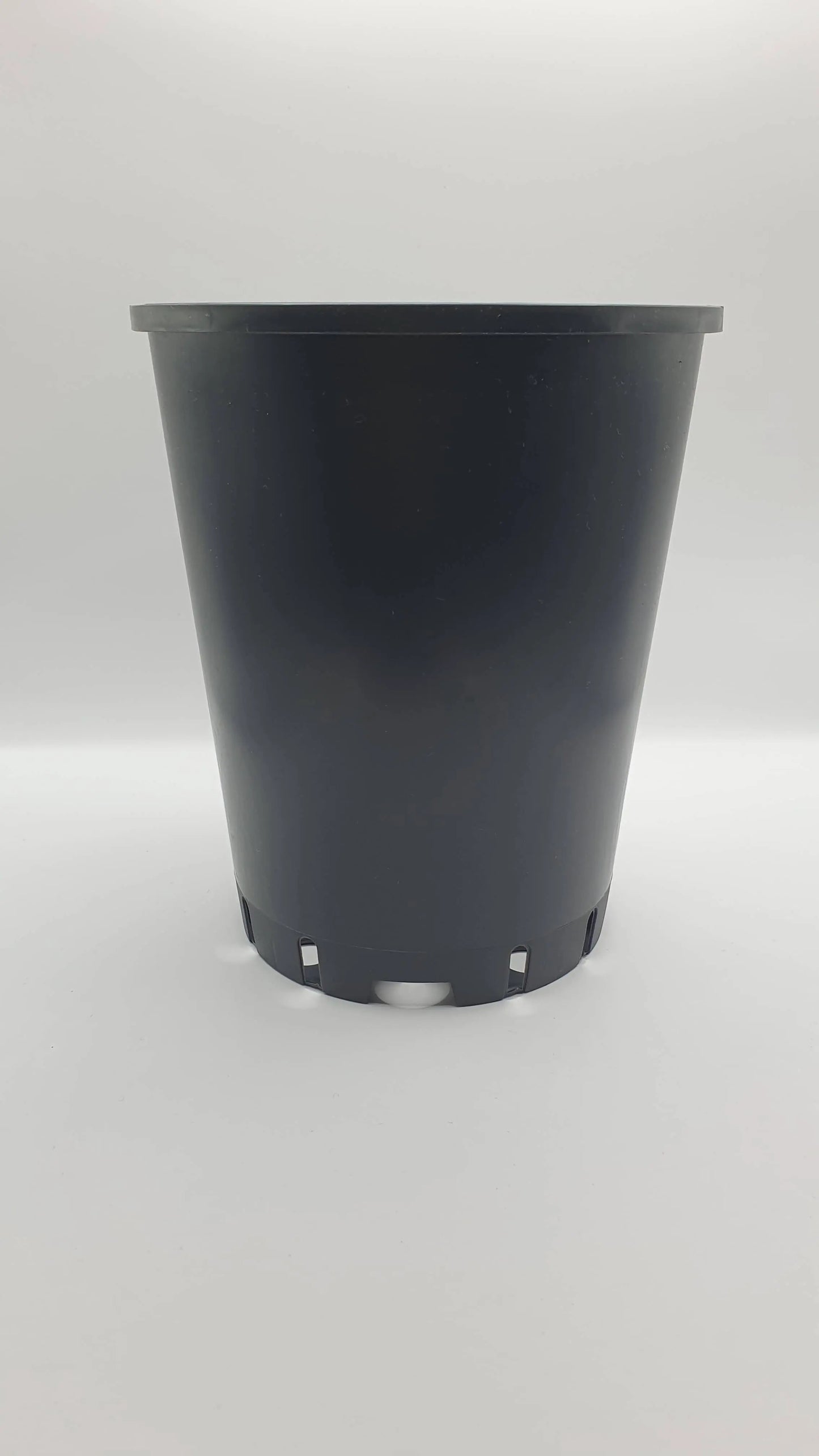 Pots ronds 14x14x17 cm CARNIVORE DE SOLOGNE