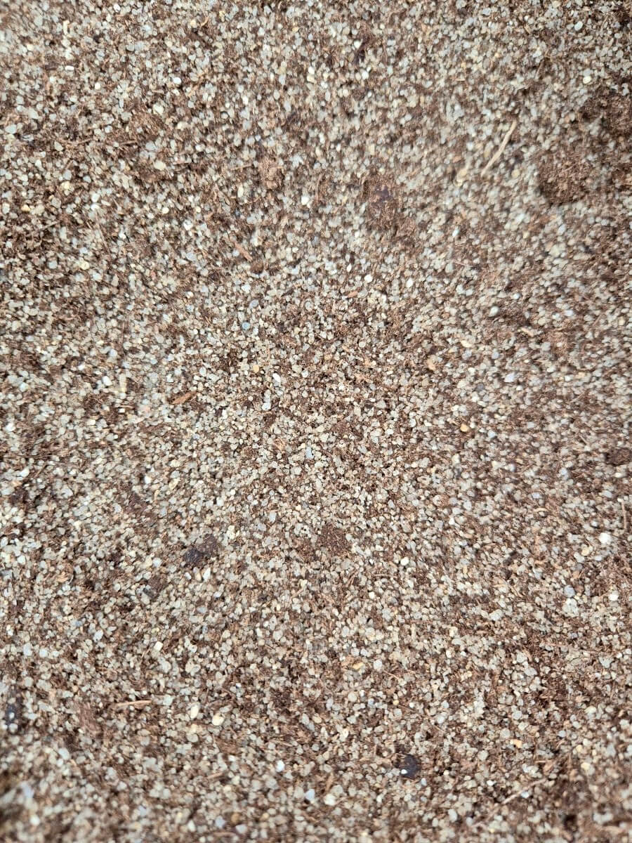 Substrat spéciale Drosera