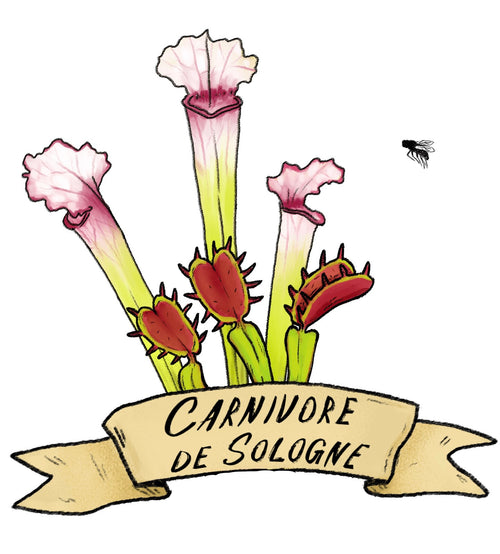 CARNIVORE DE SOLOGNE
