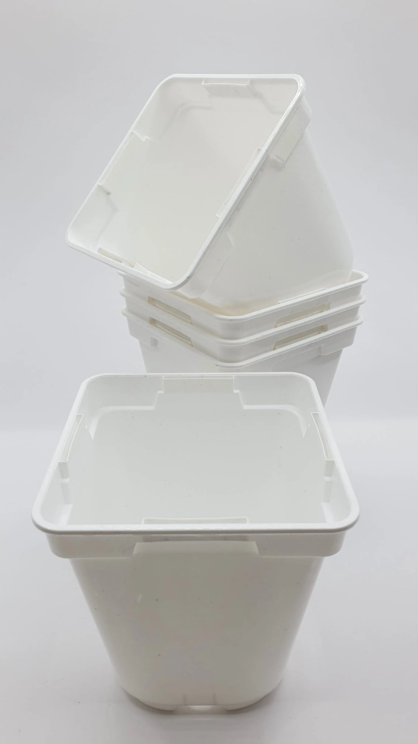 Pot Blanc carré à fond rond 9x9x10 cm CARNIVORE DE SOLOGNE