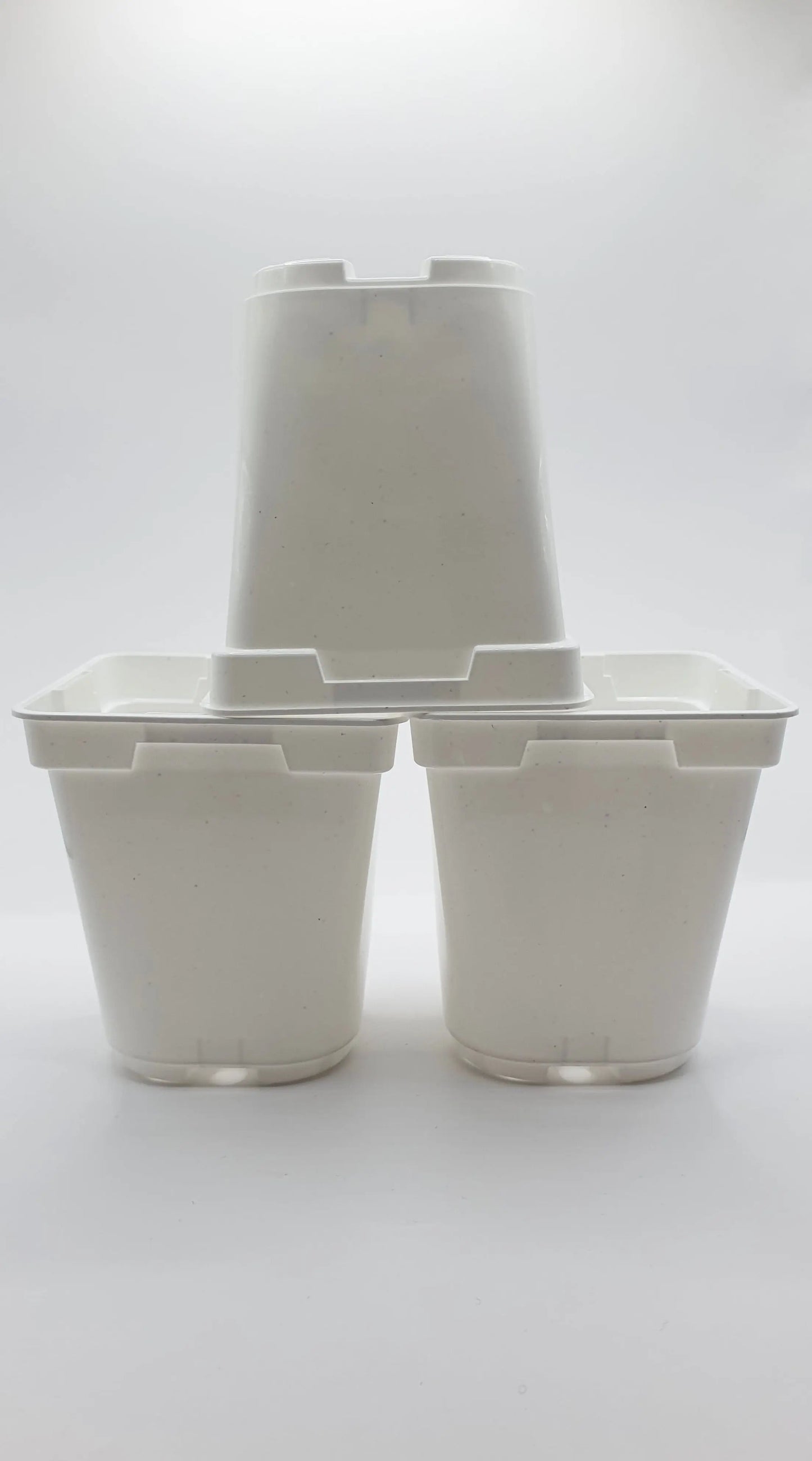 Pot Blanc carré à fond rond 9x9x10 cm CARNIVORE DE SOLOGNE