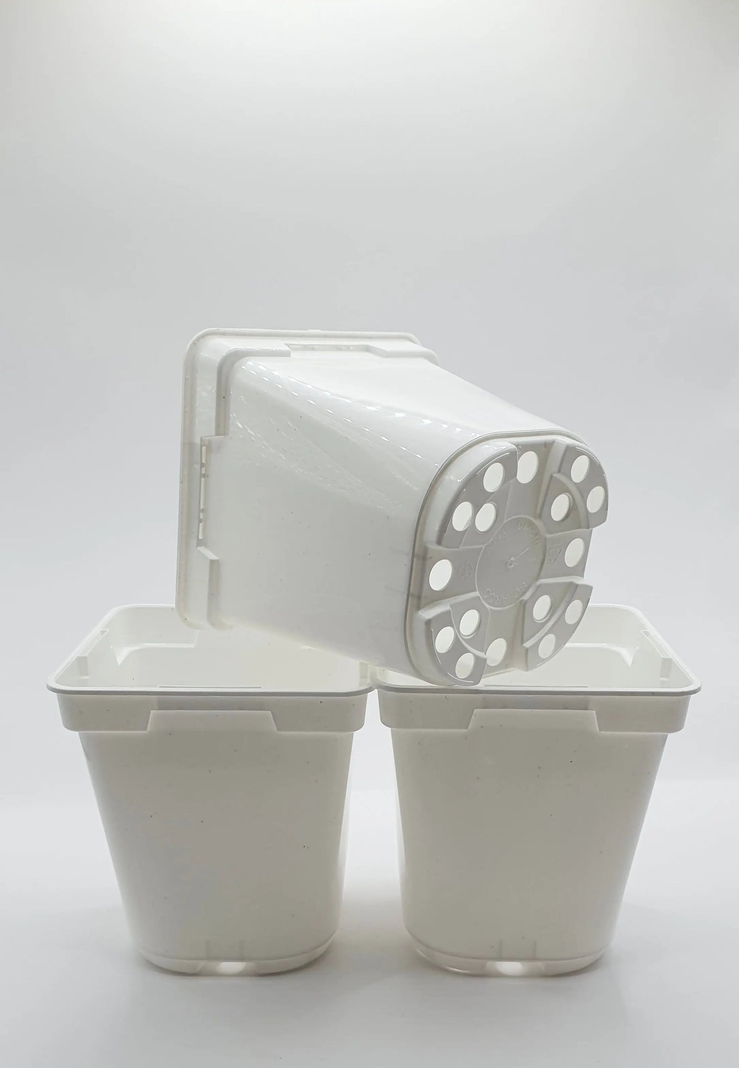 Pot Blanc carré à fond rond 9x9x10 cm CARNIVORE DE SOLOGNE