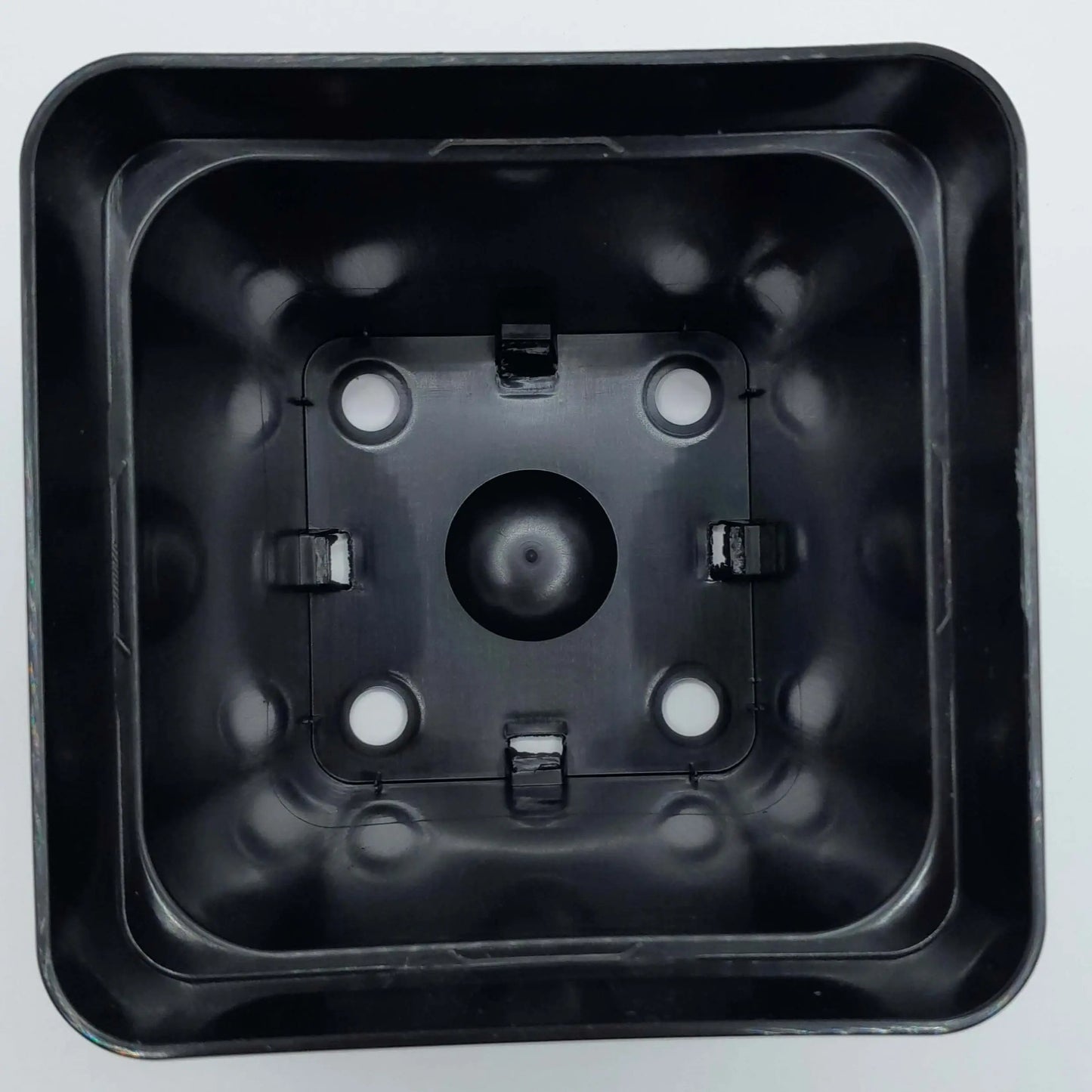 Pot carré 11x11x11 cm CARNIVORE DE SOLOGNE