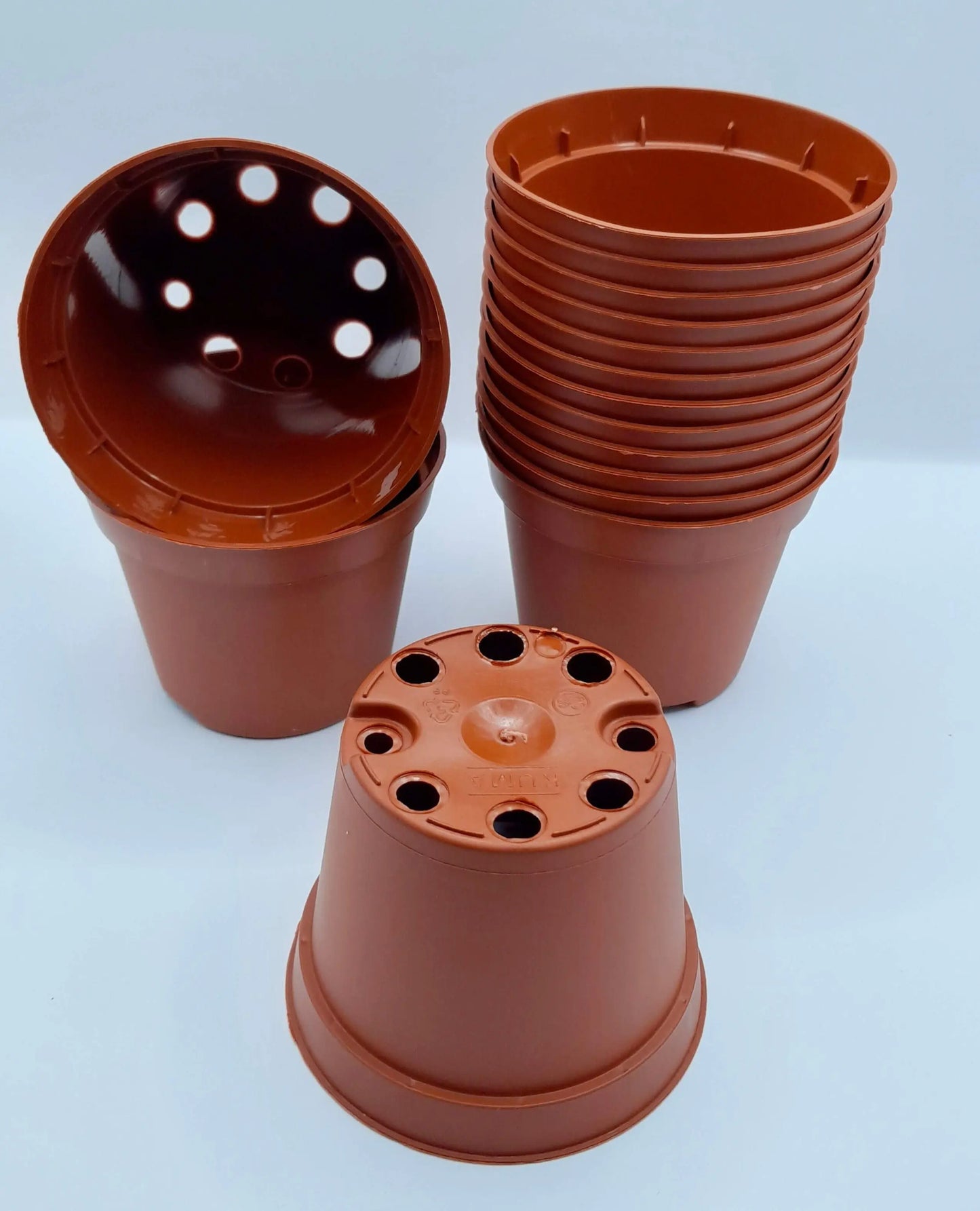 Pot rond 8x6,5cm CARNIVORE DE SOLOGNE