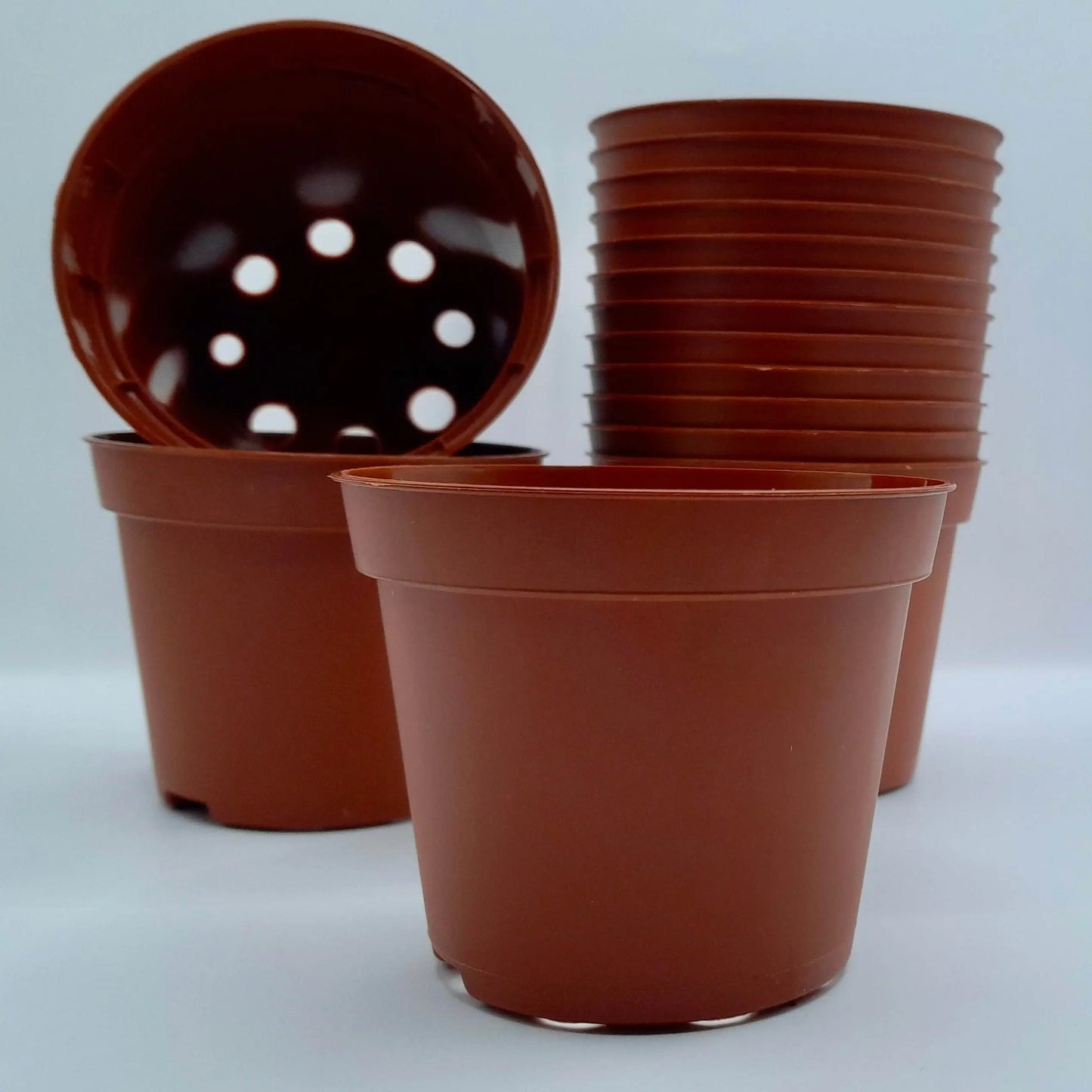 Pot rond 8x6,5cm CARNIVORE DE SOLOGNE