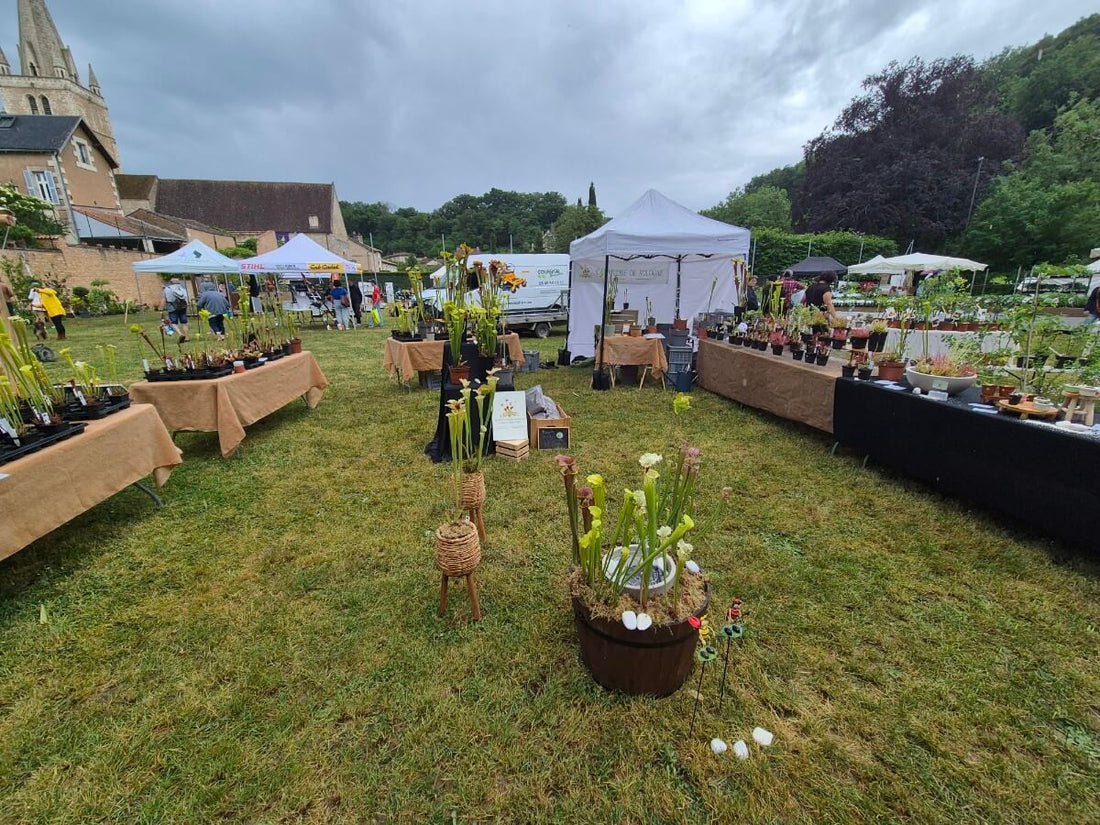 🌿 Fêtes des plantes 2026 : Dates et lieux d’exposition 🌿
