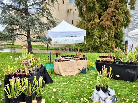 🌿 Fêtes des plantes 2026 : Dates et lieux d’exposition 🌿