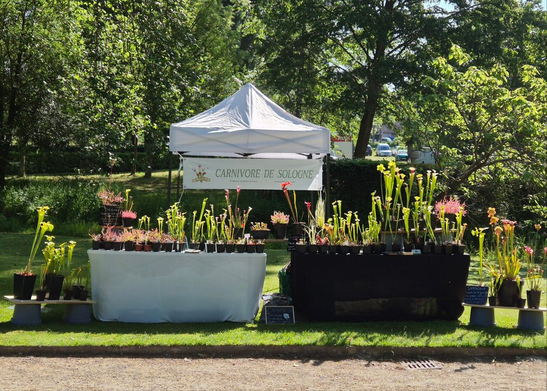 🌿 Fêtes des plantes 2025 : Dates et lieux d’exposition 🌿 - CARNIVORE DE SOLOGNE