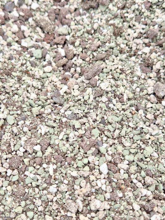 Substrat pour Pinguicula – 1 L CARNIVORE DE SOLOGNE